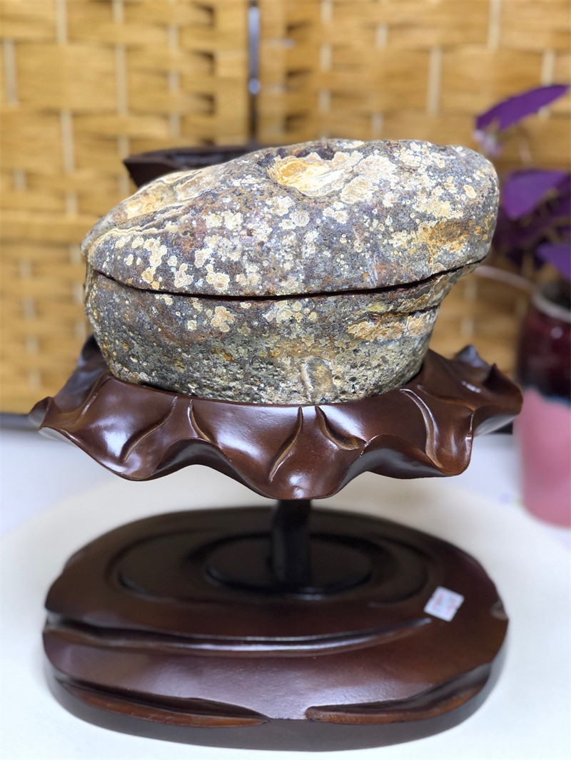 10.4LBNatural Agate Crystal Geode Quartz Bowl Wealth Spirit Energy Healing+Stand