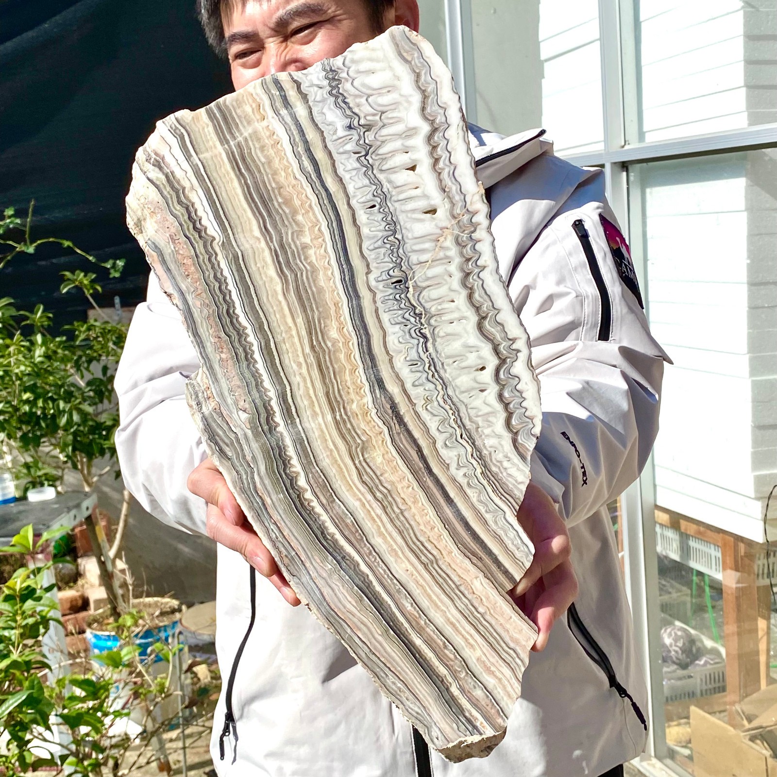 6LB Natural agate, zebra stone, crystal mineral, cut and polished in flakes