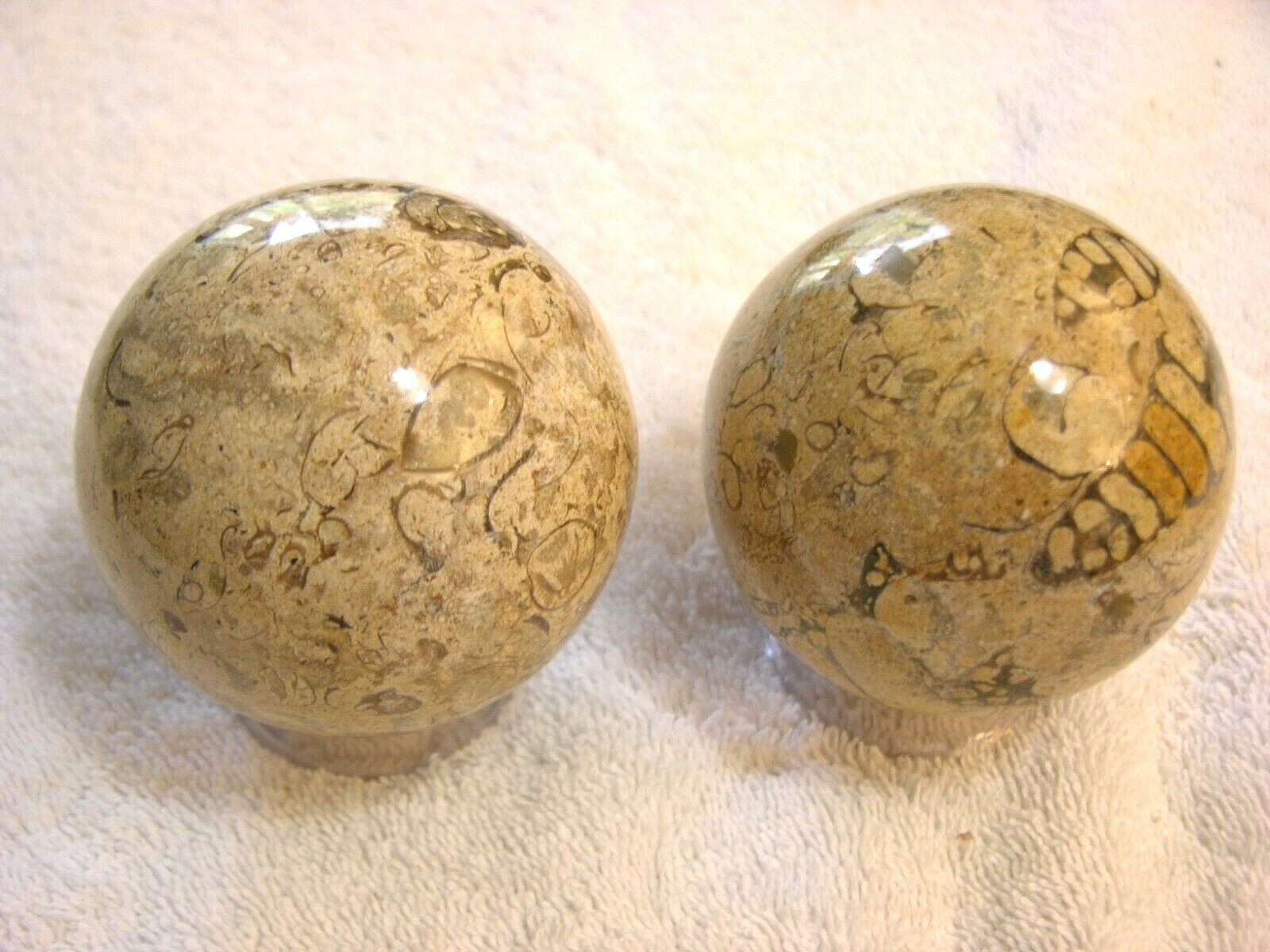 Fossil stone spheres 3 inch diameter with stands 2 sphere lot fs18
