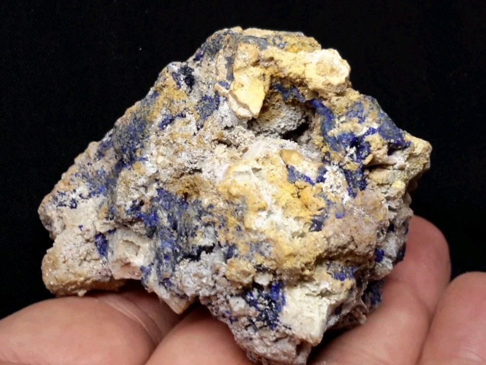 12 Piece AZURITE with QUARTZ and FLUORITE from Sierra Rica, Chihuahua, Mexico