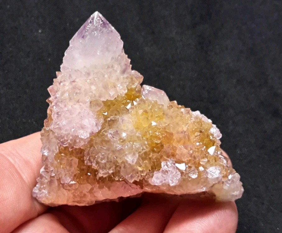 2″ CACTUS QUARTZ AMETHYST AMETRINE from Mpumalanga, South Africa