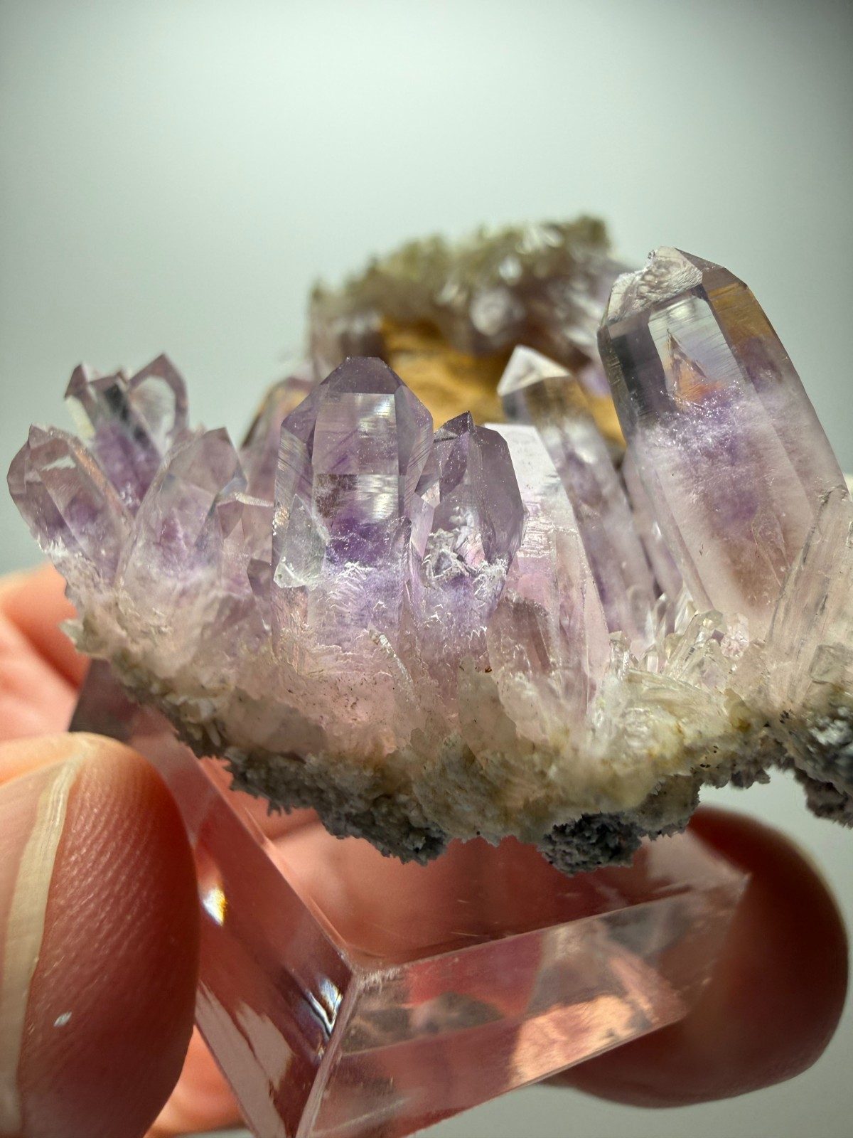 Stunning Amethyst cluster- unique formation! Las Vigas de Ramirez, Mexico