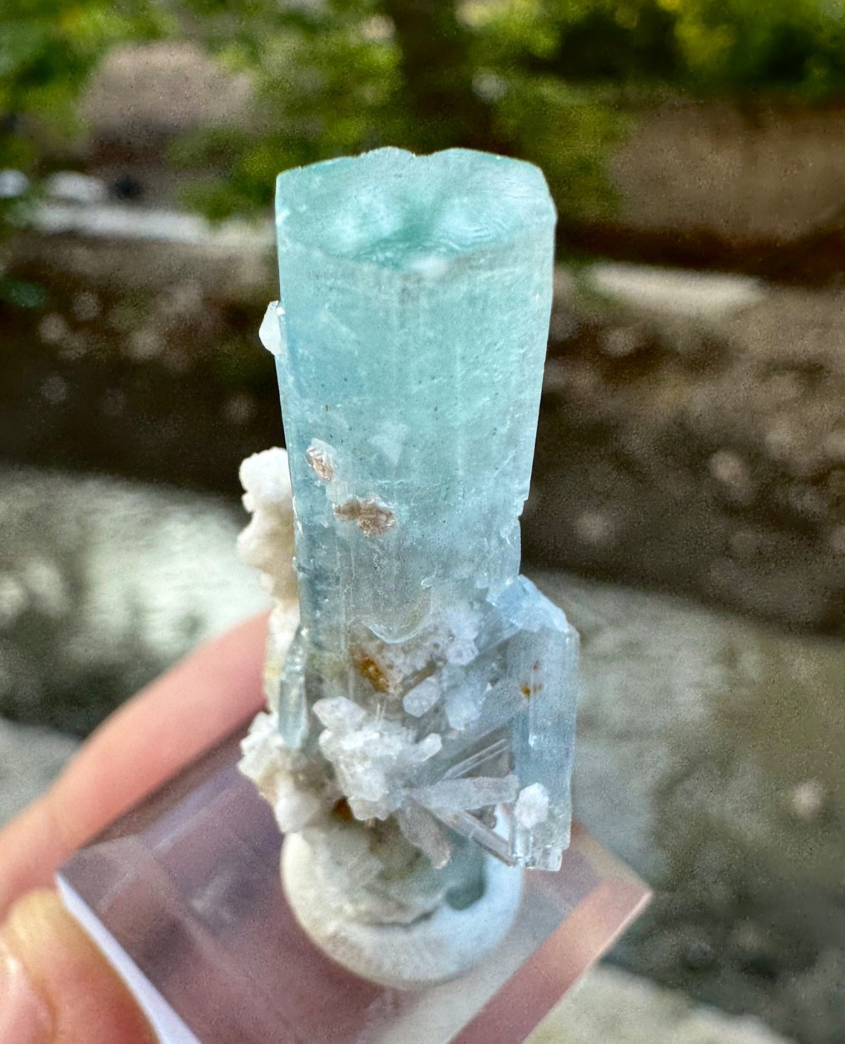 Natural Sky Blue Terminated Aquamarine Crystal , 33 Carats @ Minerals