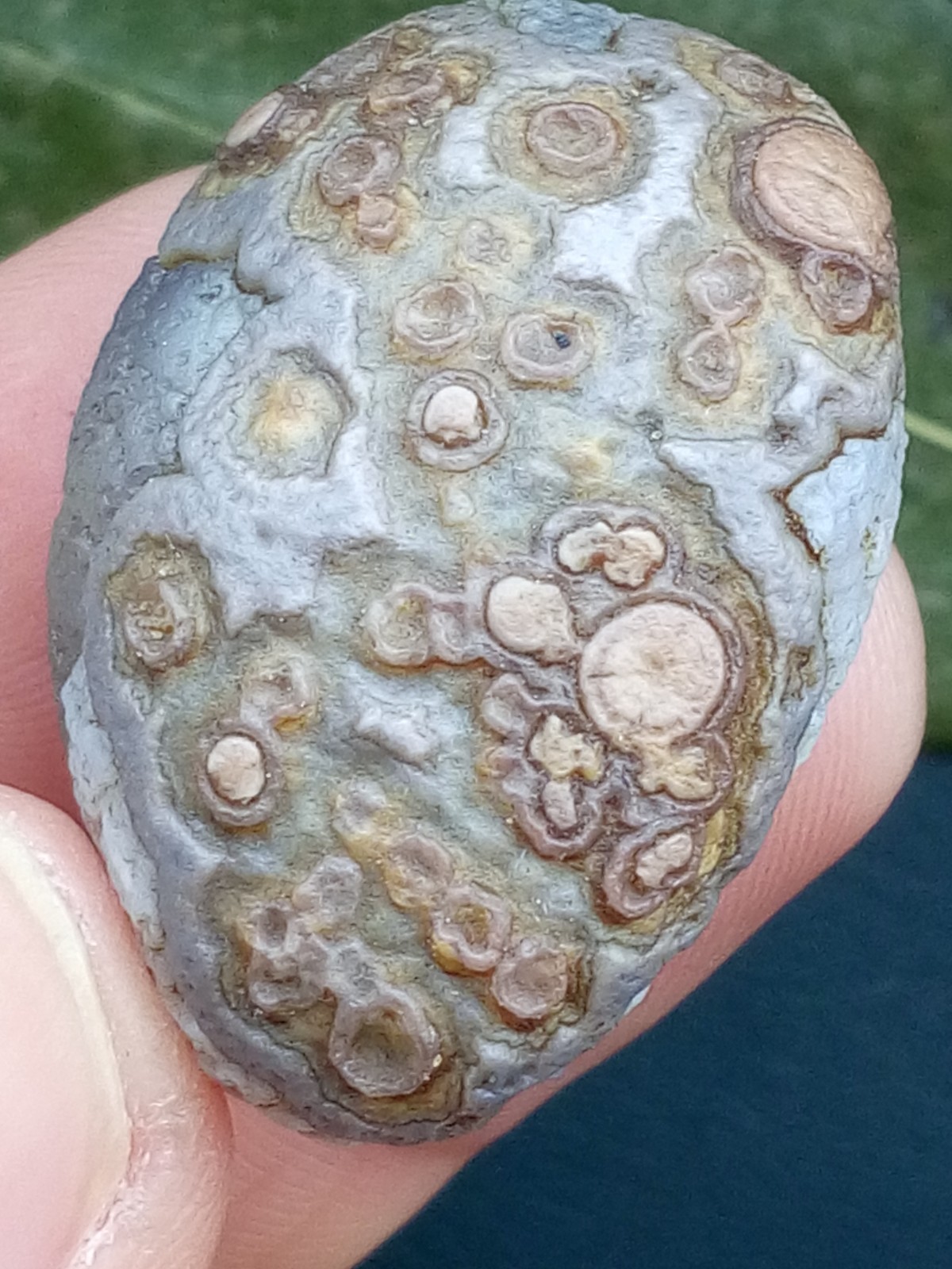 12g/36mm Natural GoBi Agate eye agate/stone cute collection