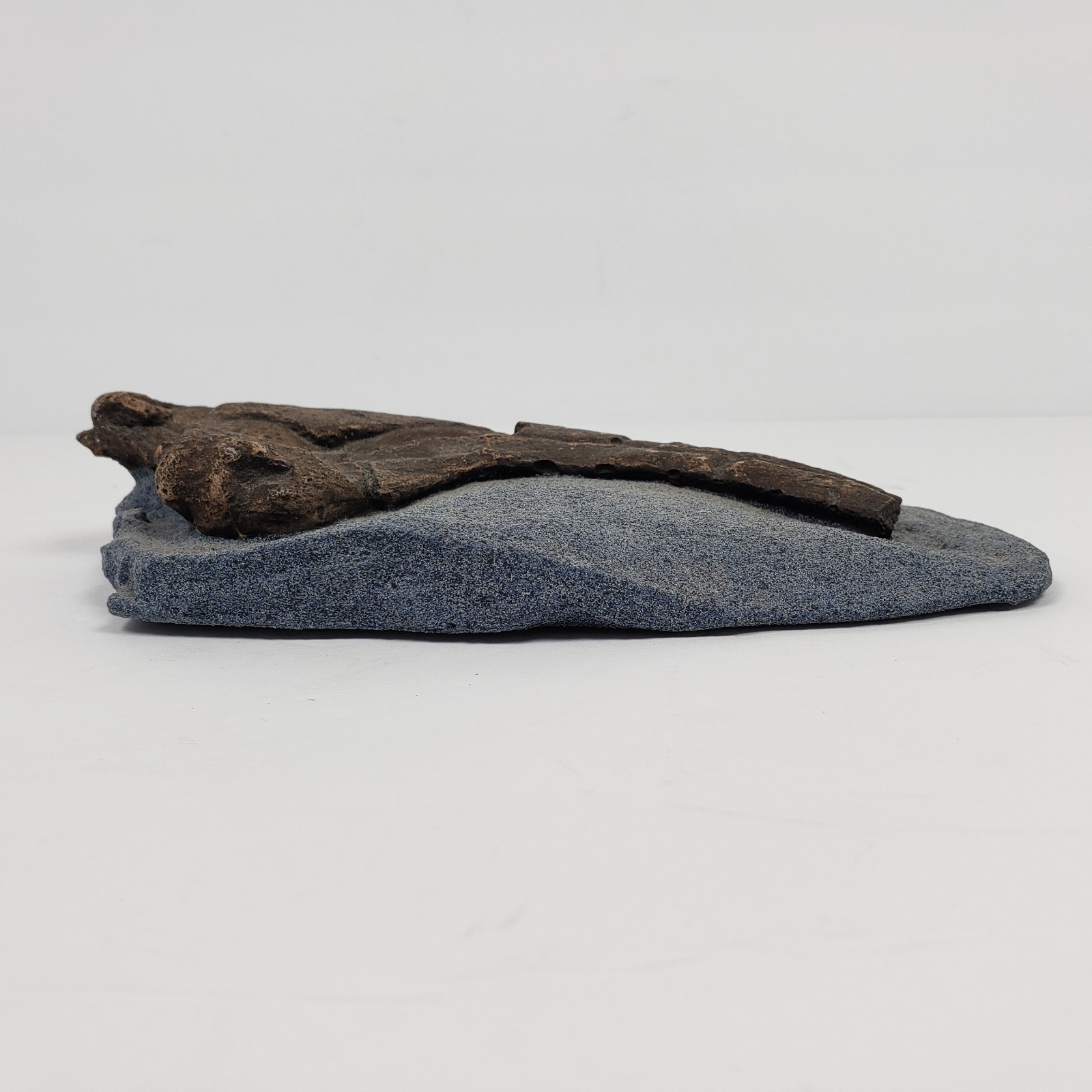 Unbranded Home Decor Copy Of a Fossilized Claw