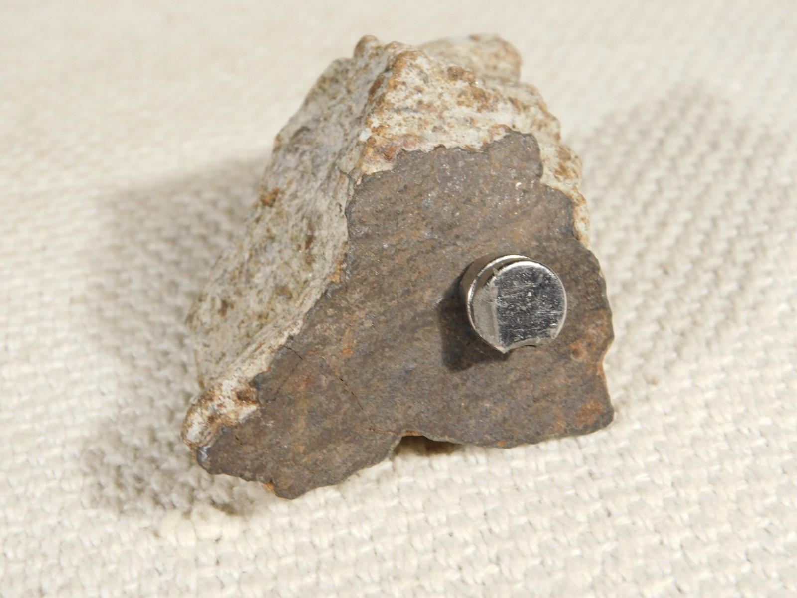 Classified NWA 8245 METEORITE 100% Natural FELL on Erfoud, Morocco 110gr