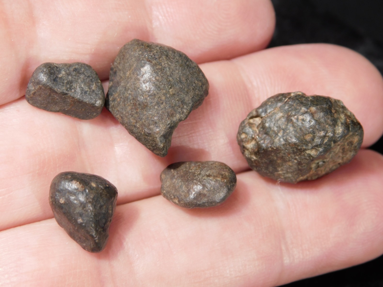 Lot of FIVE! Little 100% Natural N.W.A. Stony METEORITES Algeria 13.2gr
