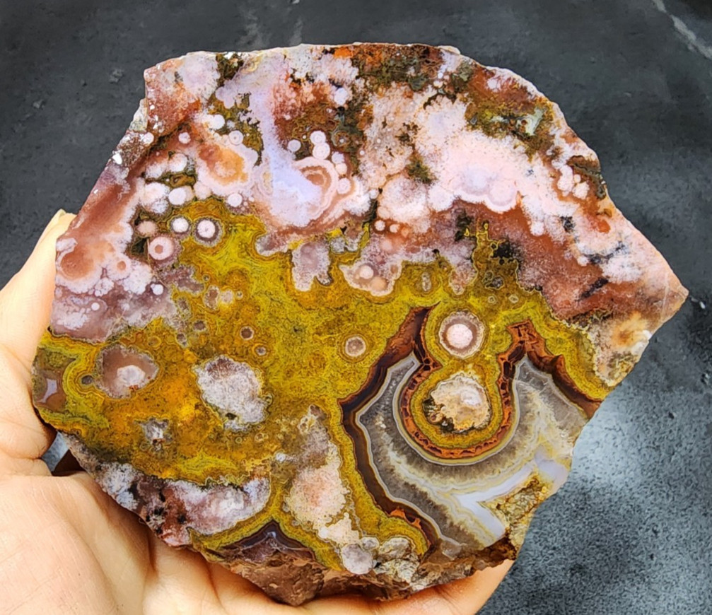 18.48 oz ( 524 gr) Multicolor Agate Slab, Collectible Agate, Unpolished Agate