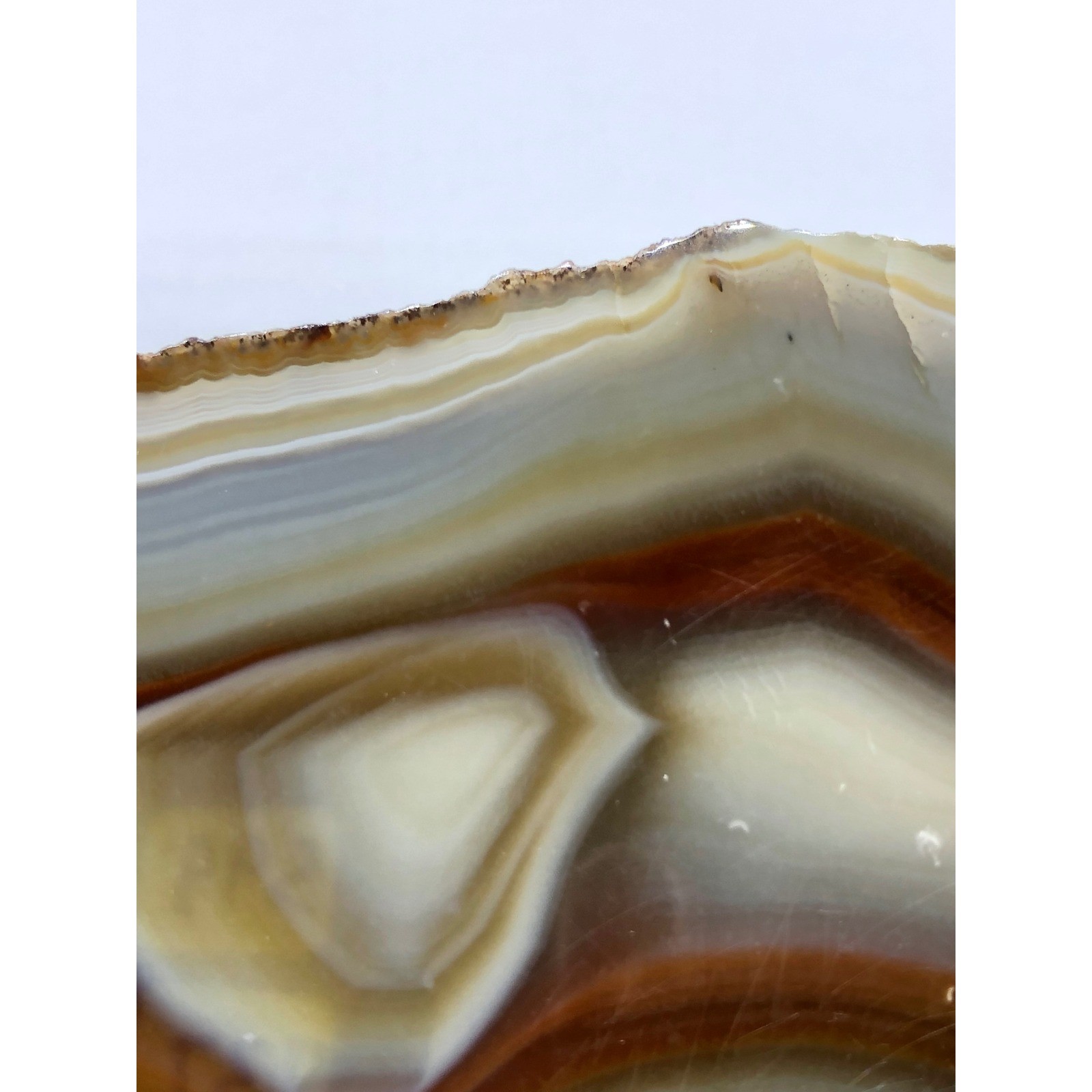 Natural Polished Banded Agate Slice Geode Specimen Brown Gray 5.25 Inch Decor
