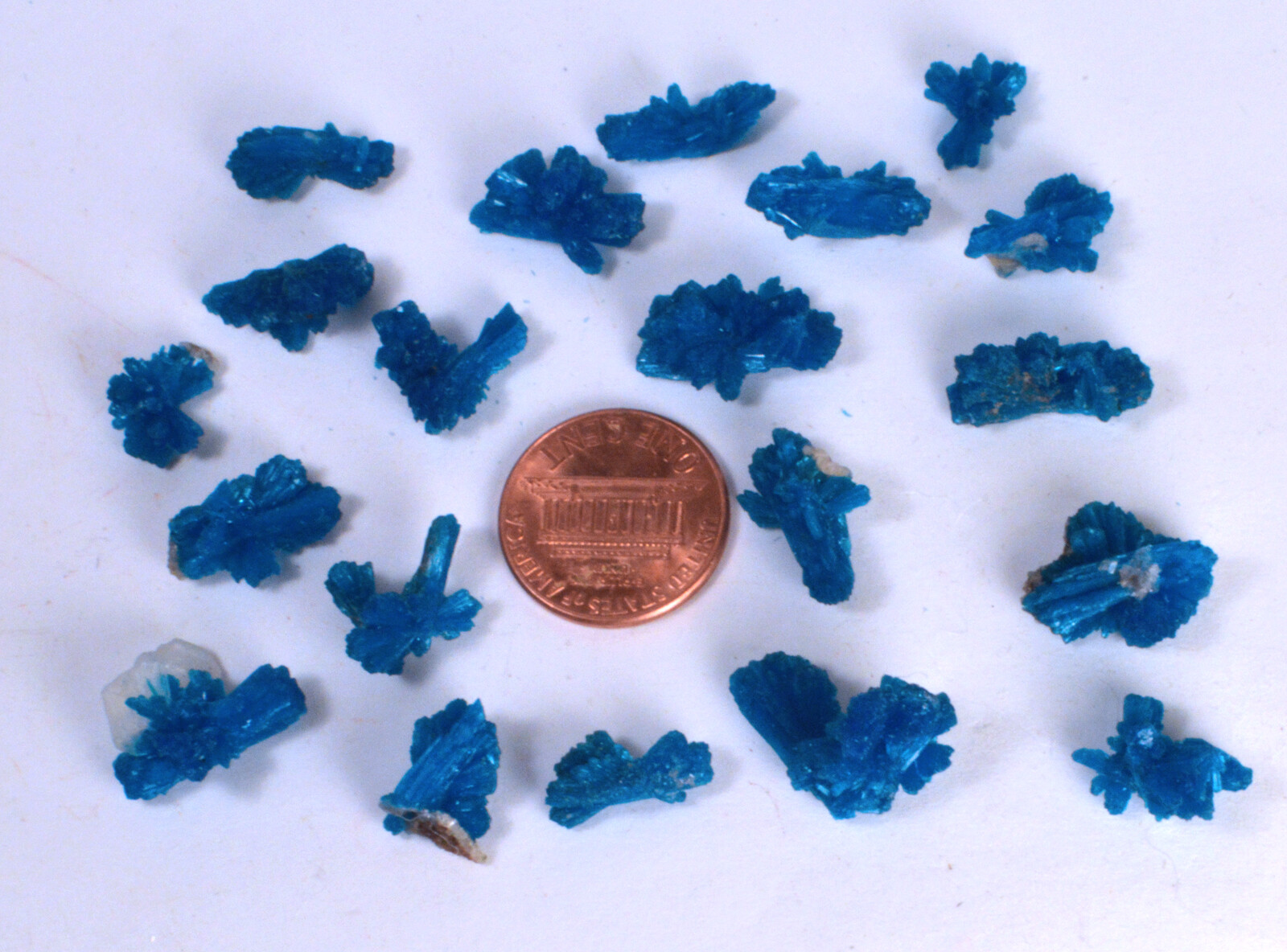 #9080 Cavansite-India–Large “Bowties”/ Unusual shapes [ONE PIECE ONLY]
