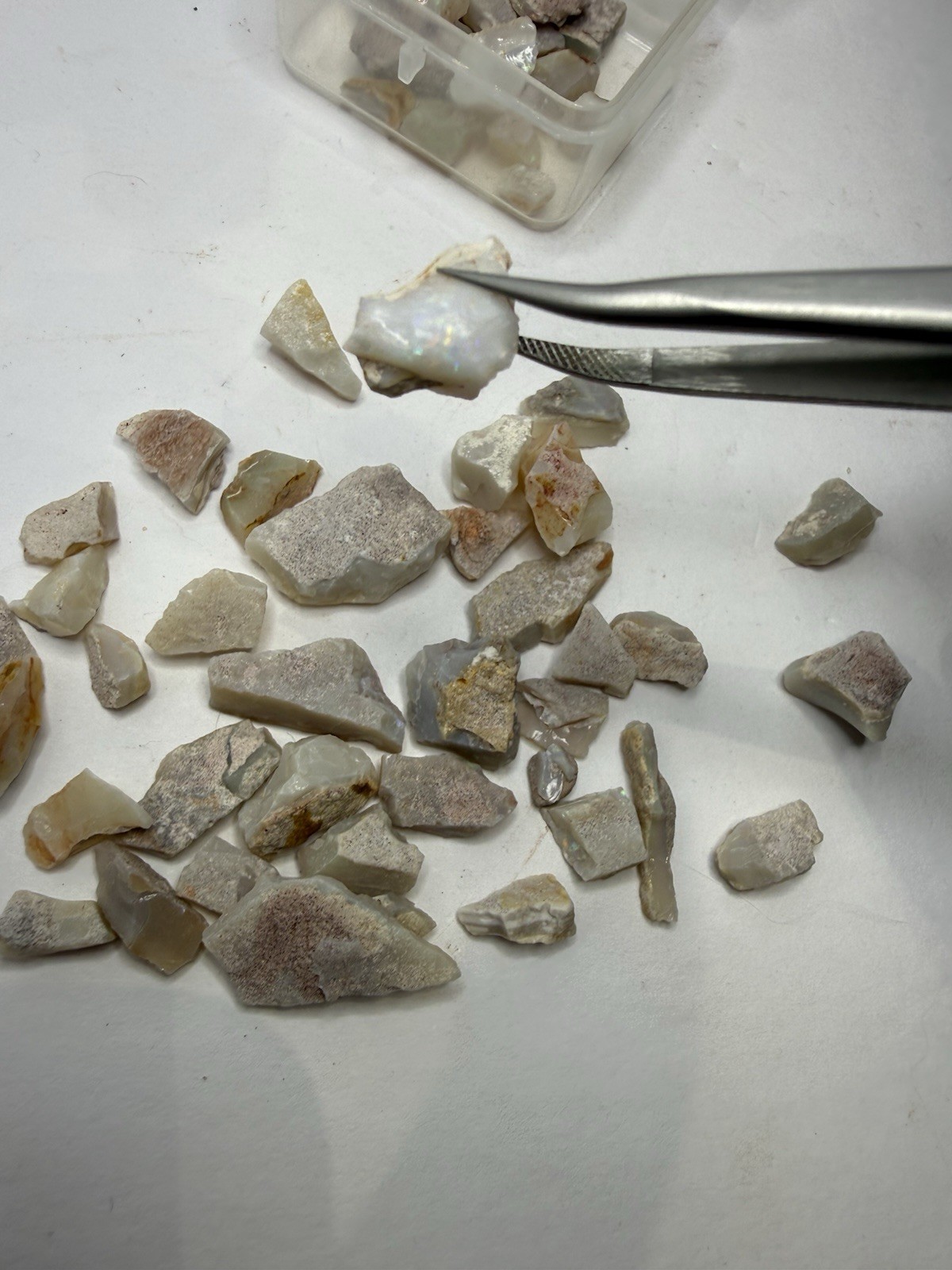 Lot Of Natural Australian Opals Multicolor Flash 26g Total With Plastic Case