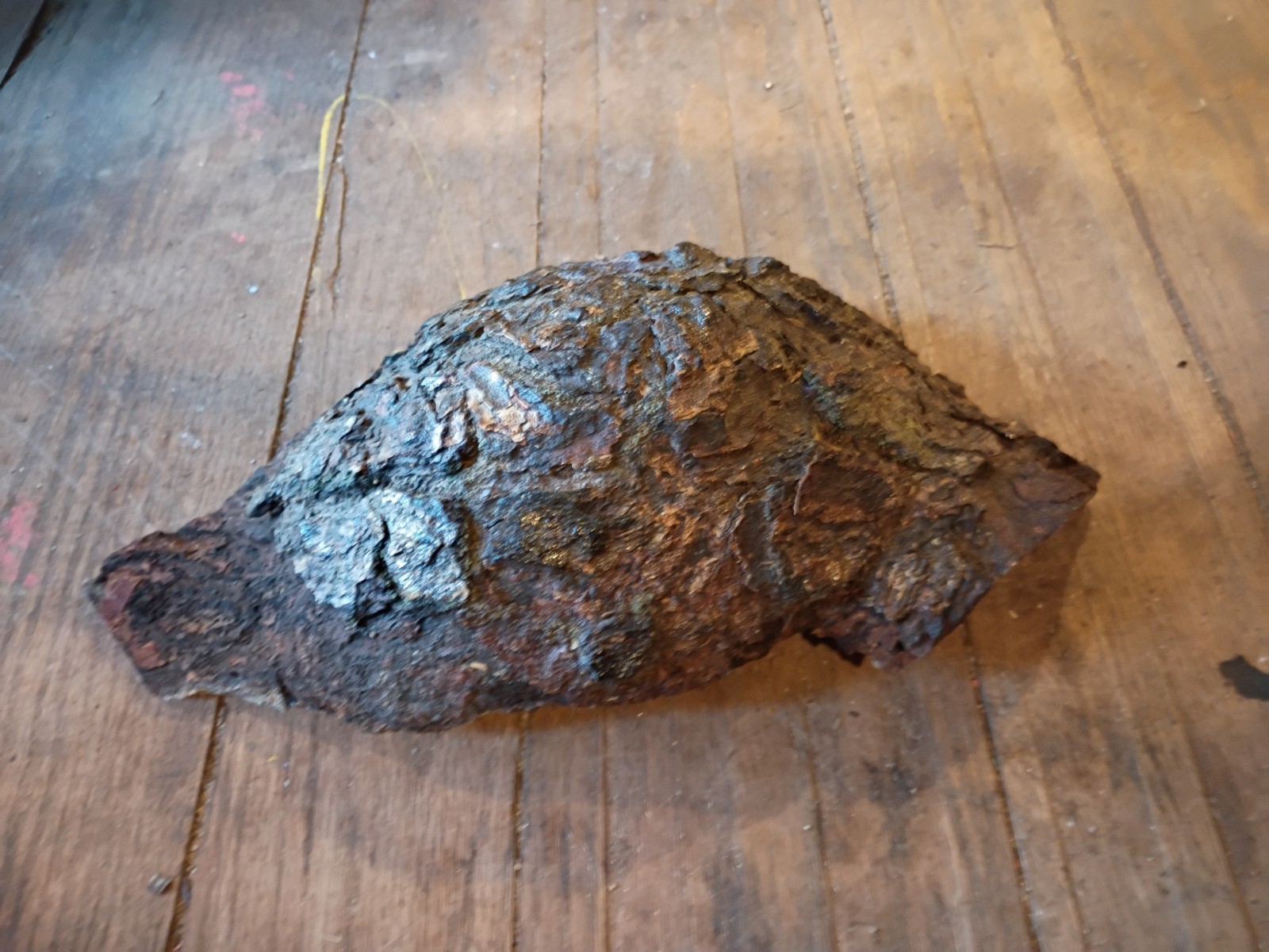 Dark Brown Rough preserved Natural pine tree bark burl Specimen