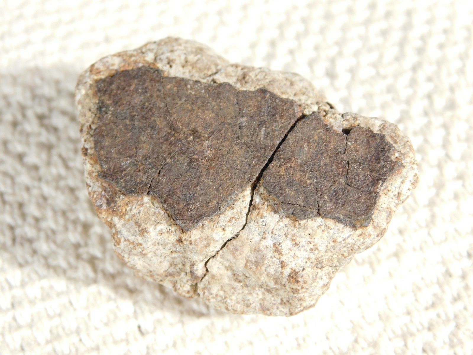 Classified NWA 8245 METEORITE Spots of Dark Fusion Crust! Erfoud, Morocco 52.8gr