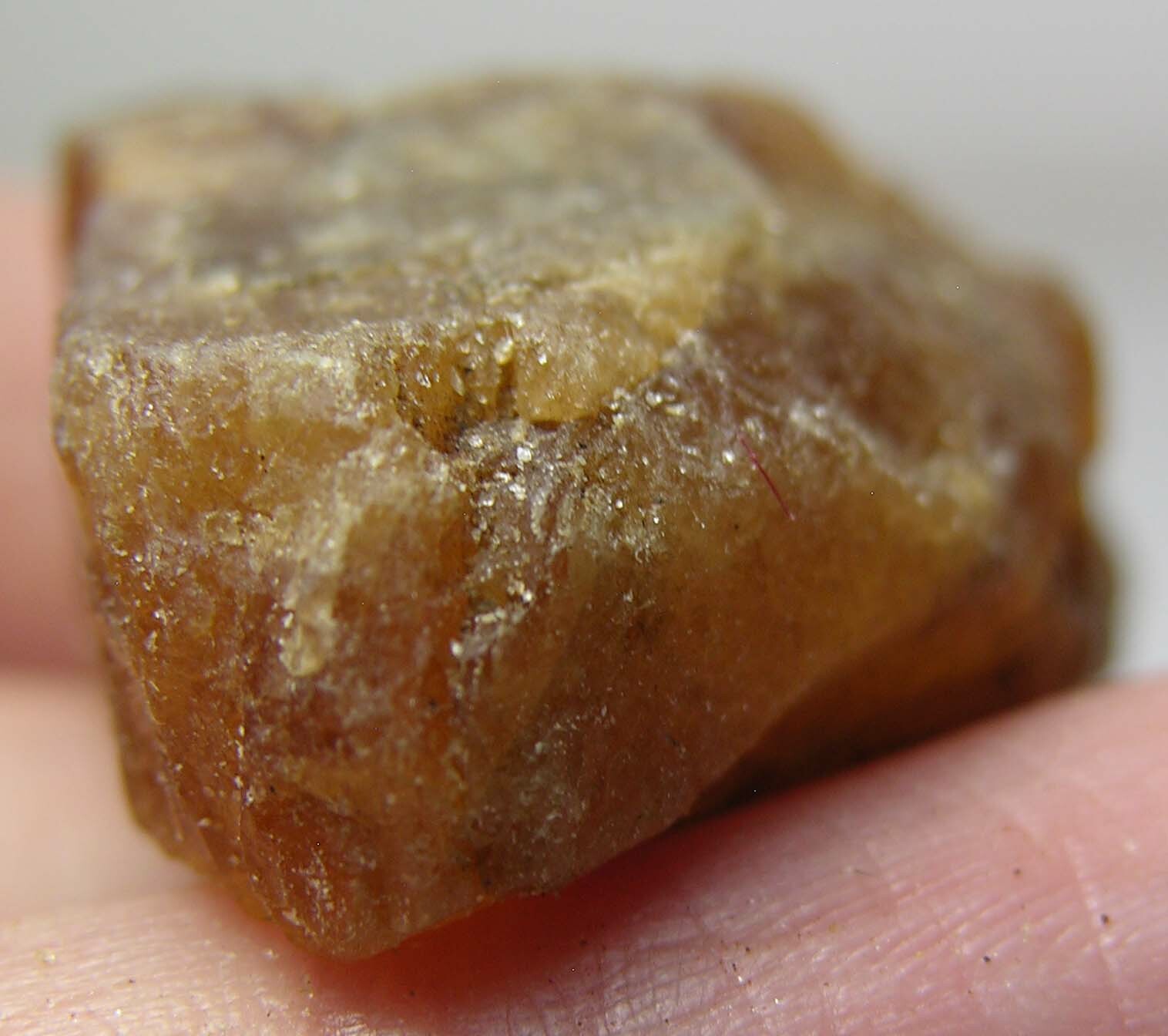 #8 Afghan 82.60ct 100% Natural Rough Raw Hessonite Garnet Specimen 16.50g 33mm