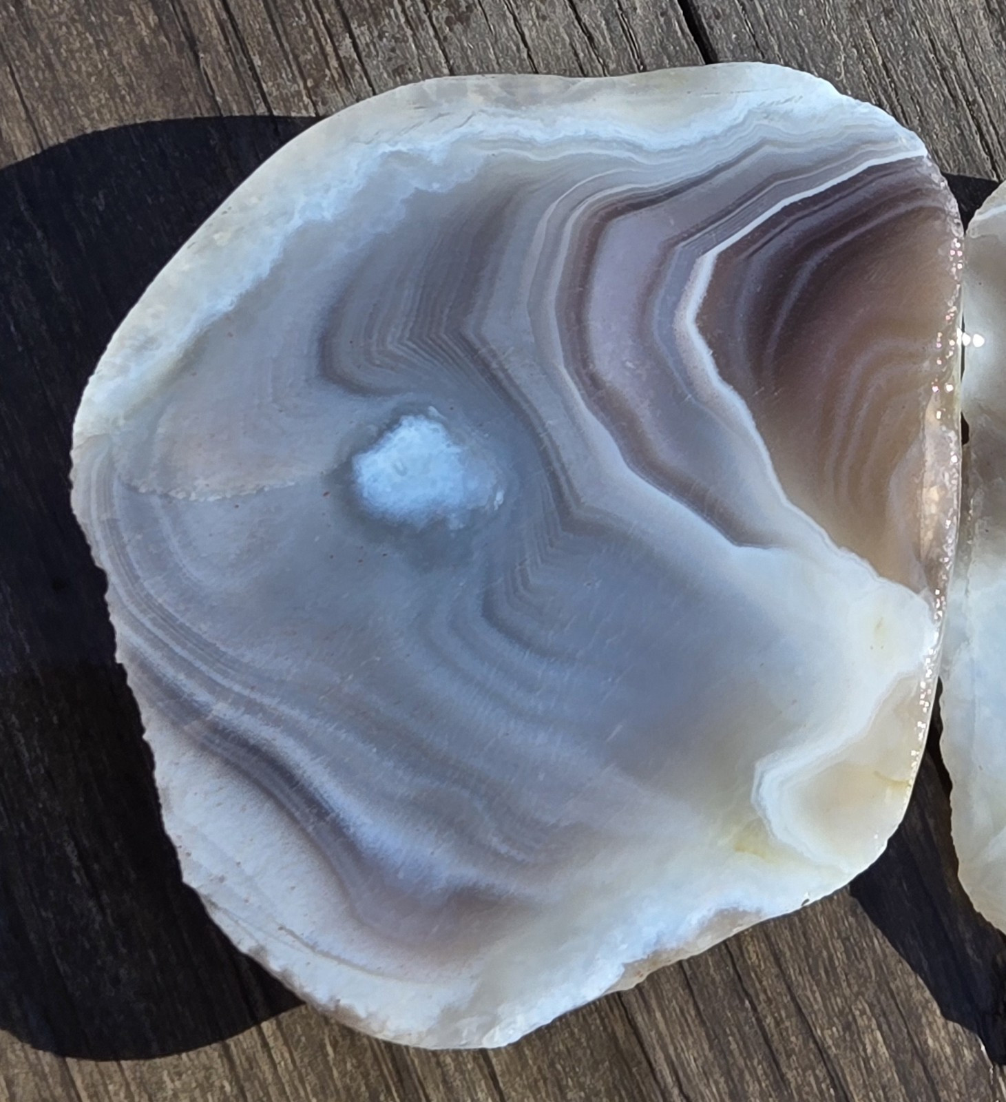 Botswana Agate Cut In Half – Rough, Natural, Not Polished