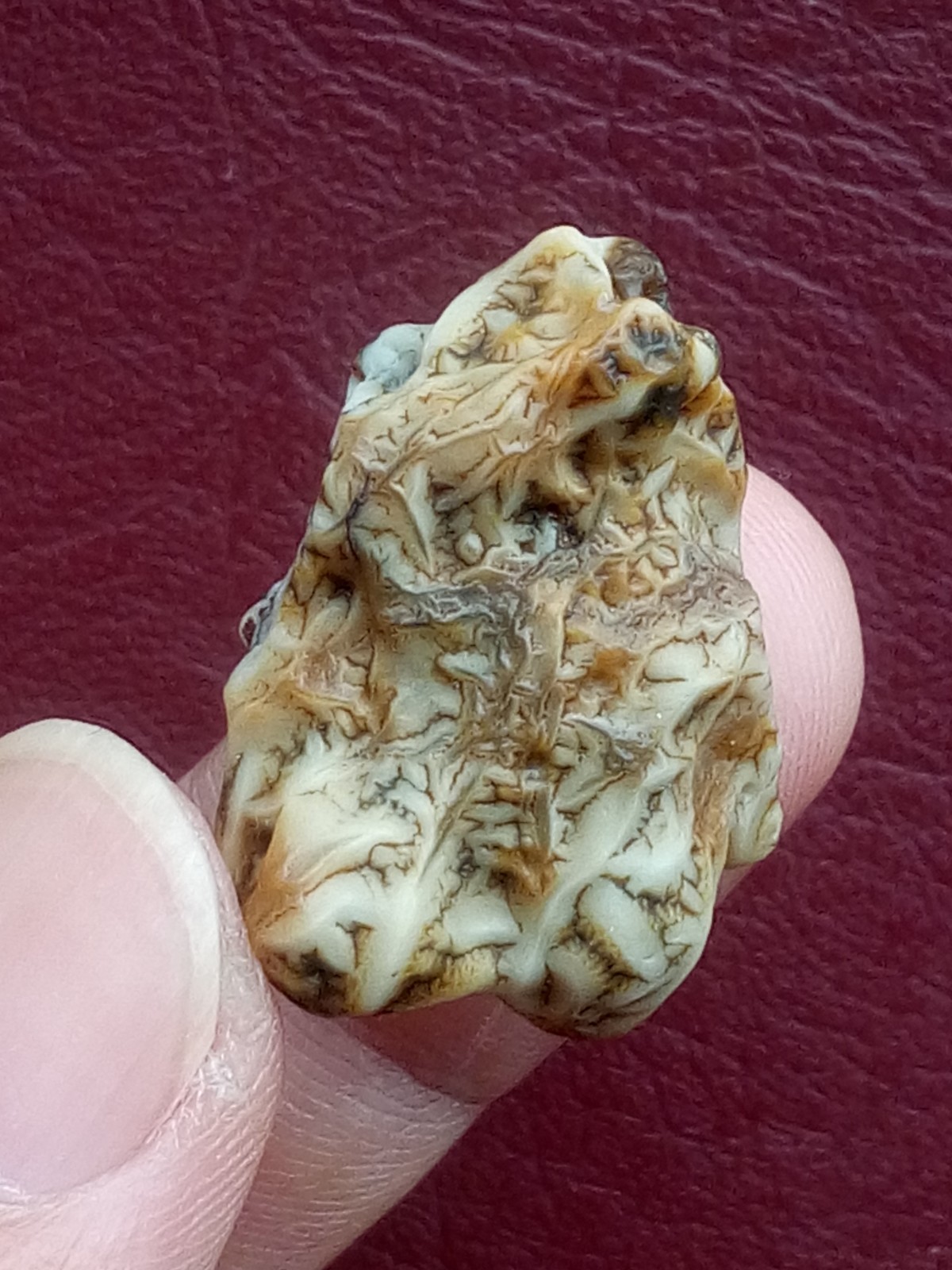 5 pieces Beautiful Natural GoBi agate veins agate Landscape stone