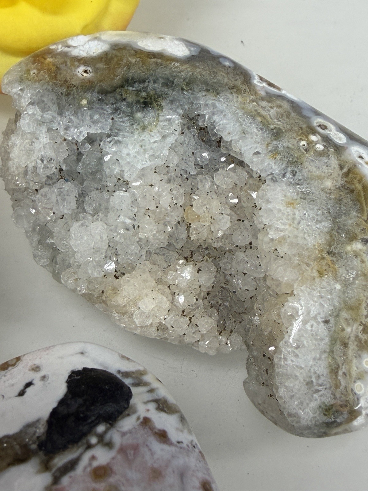 Wholesale Lot 1 Lb Natural Ocean Jasper Palm Stone Crystal Healing Energy.