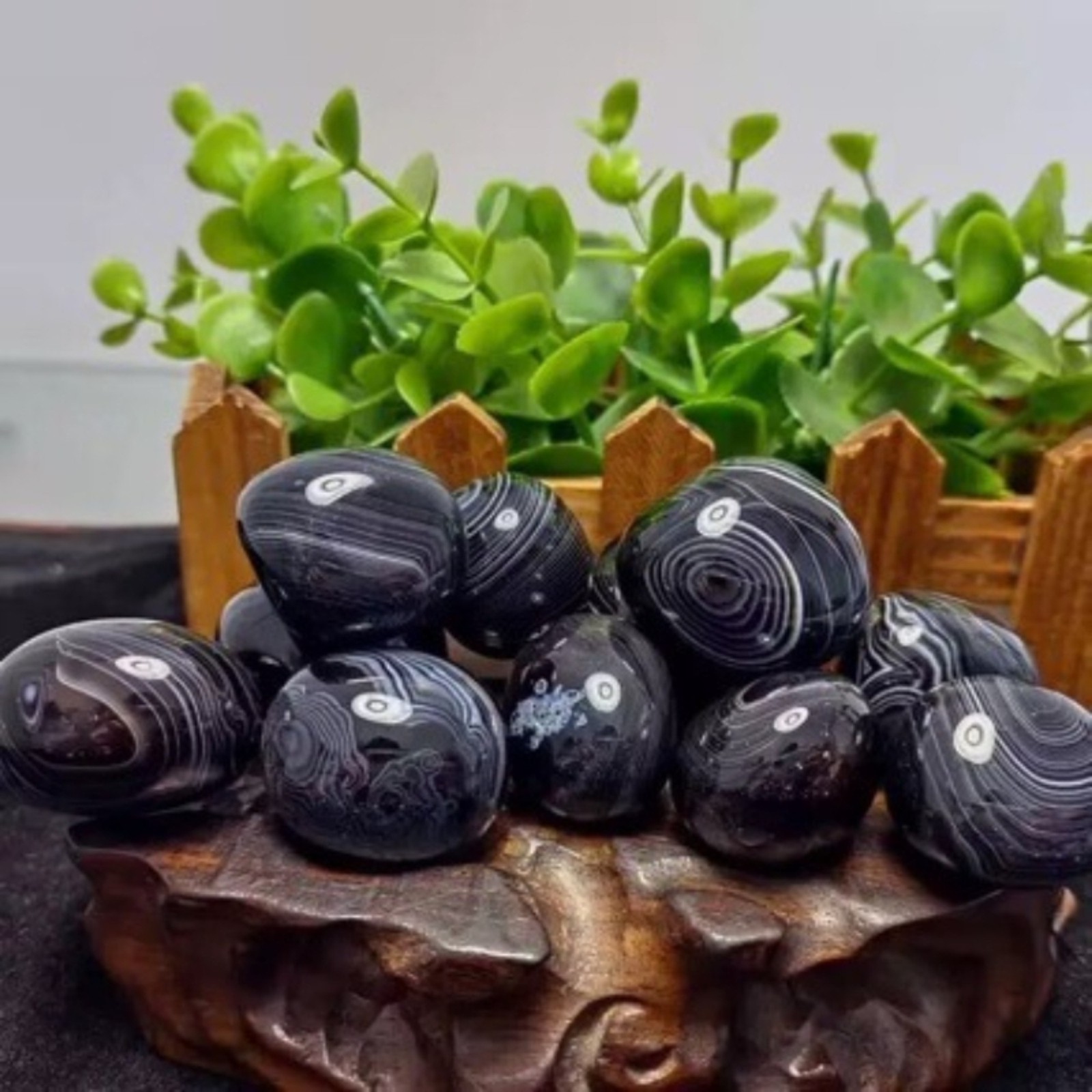 Wholesale Black Lace Agate Palm Stone Crystal Quartz Gem Healing Decor Gift