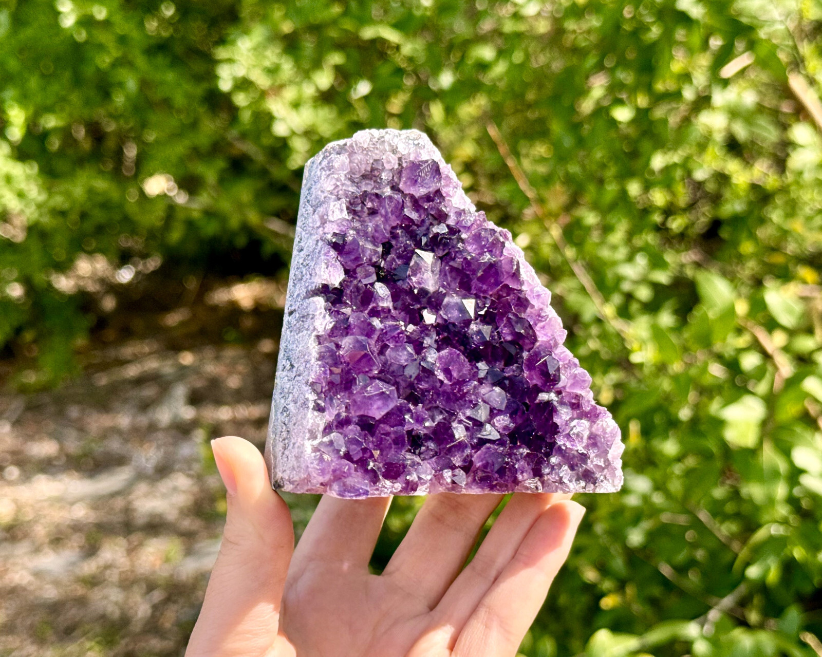 Stunning LARGE Amethyst Cut Base Cluster, Crystal Quartz Geode 8 – 11 oz