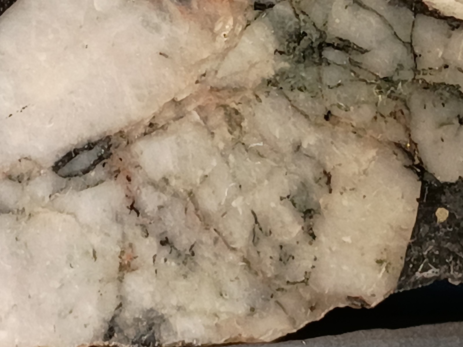 10″ Brecciated Quartz Magnetite Amphibole Pilot Knob MO Polished Display Mineral