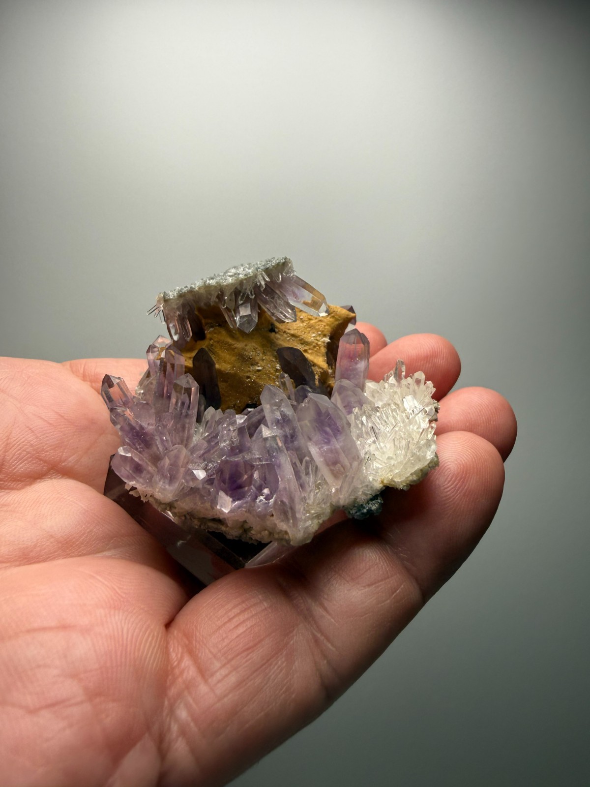 Stunning Amethyst cluster- unique formation! Las Vigas de Ramirez, Mexico