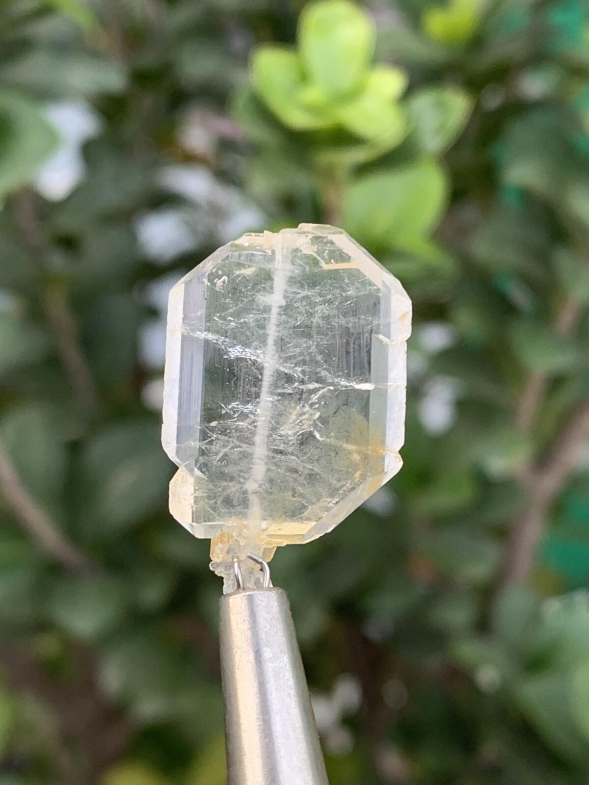 7 Grams Faden Quartz Crystal. size: 2.5*1.5*0.2 cm
