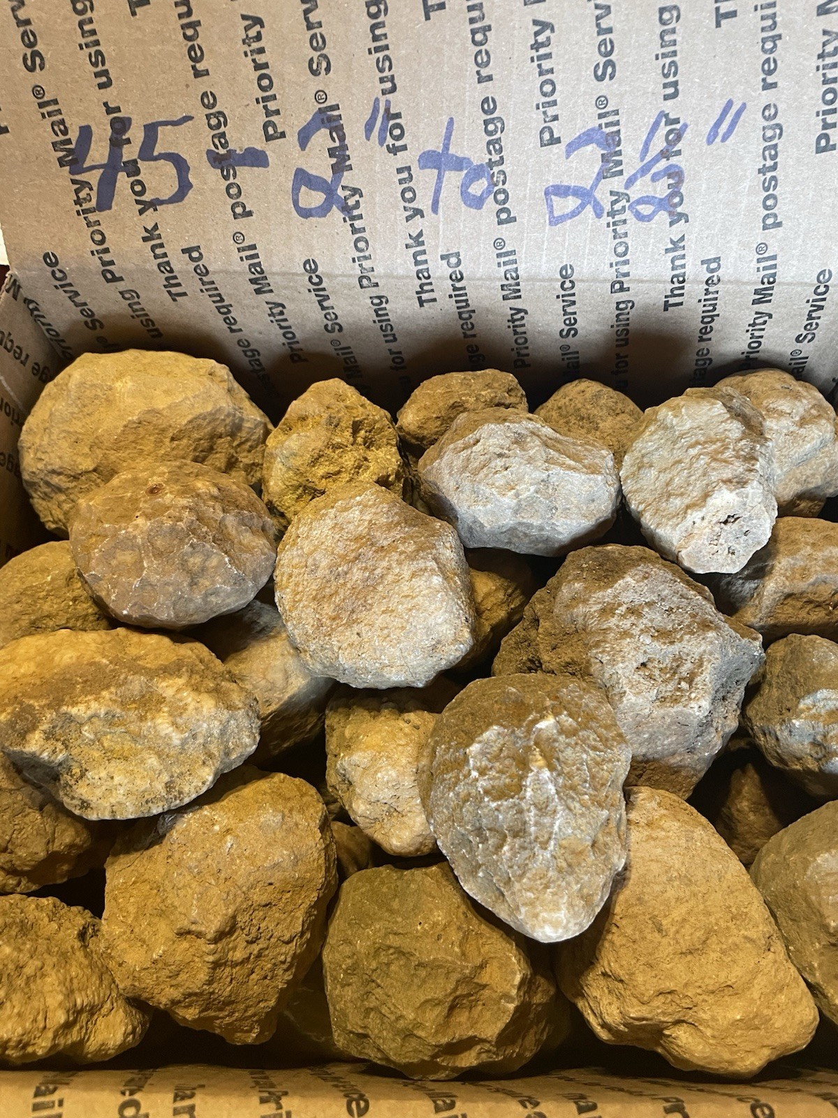 BOX OF KENTUCKY GEODES:45-2” TO 2 1/2” LAPIDARY!