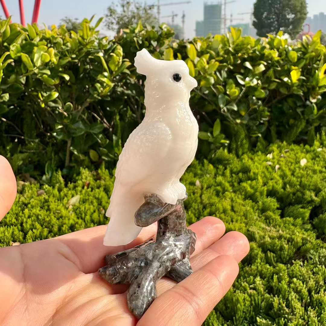 1pc Natural White Jade ,Yooperlite Quartz Carved Parrot Skull Crystal Reiki