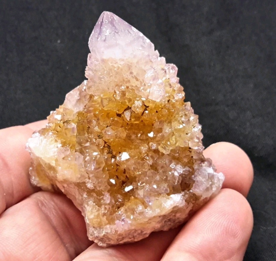 2″ CACTUS QUARTZ AMETHYST AMETRINE from Mpumalanga, South Africa