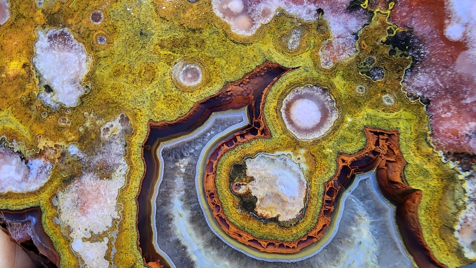 18.48 oz ( 524 gr) Multicolor Agate Slab, Collectible Agate, Unpolished Agate