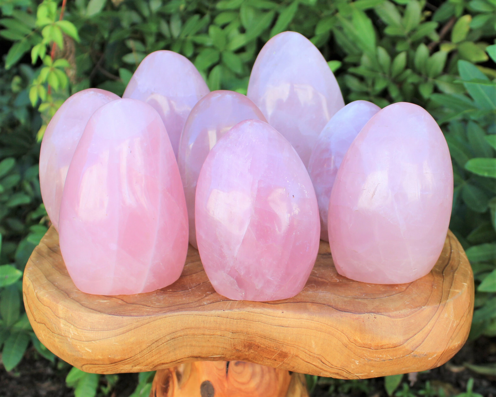 LARGE Polished Rose Quartz Freeform: Cut Base Free Standing Display Specimens