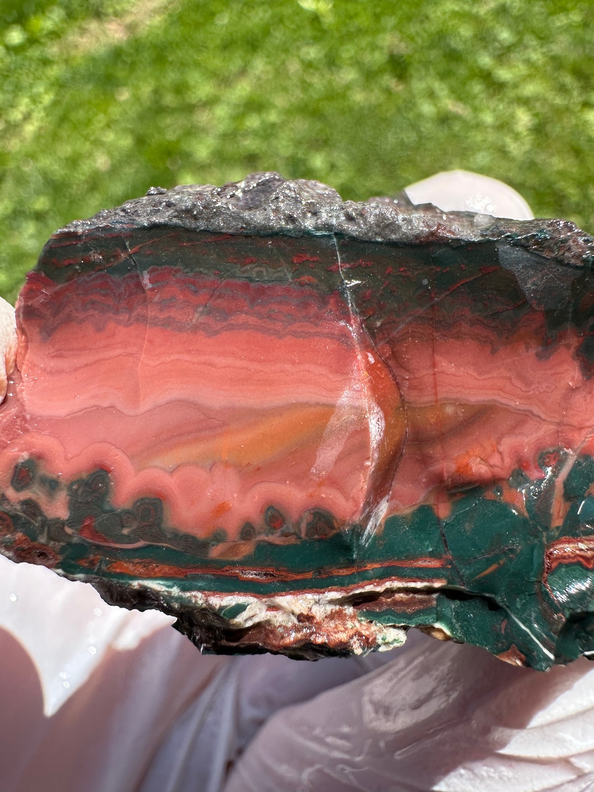 PREMIUM SPECIMEN__RARE Idaho Sunset Jasper / Agate Rough – Lemhi County, Idaho