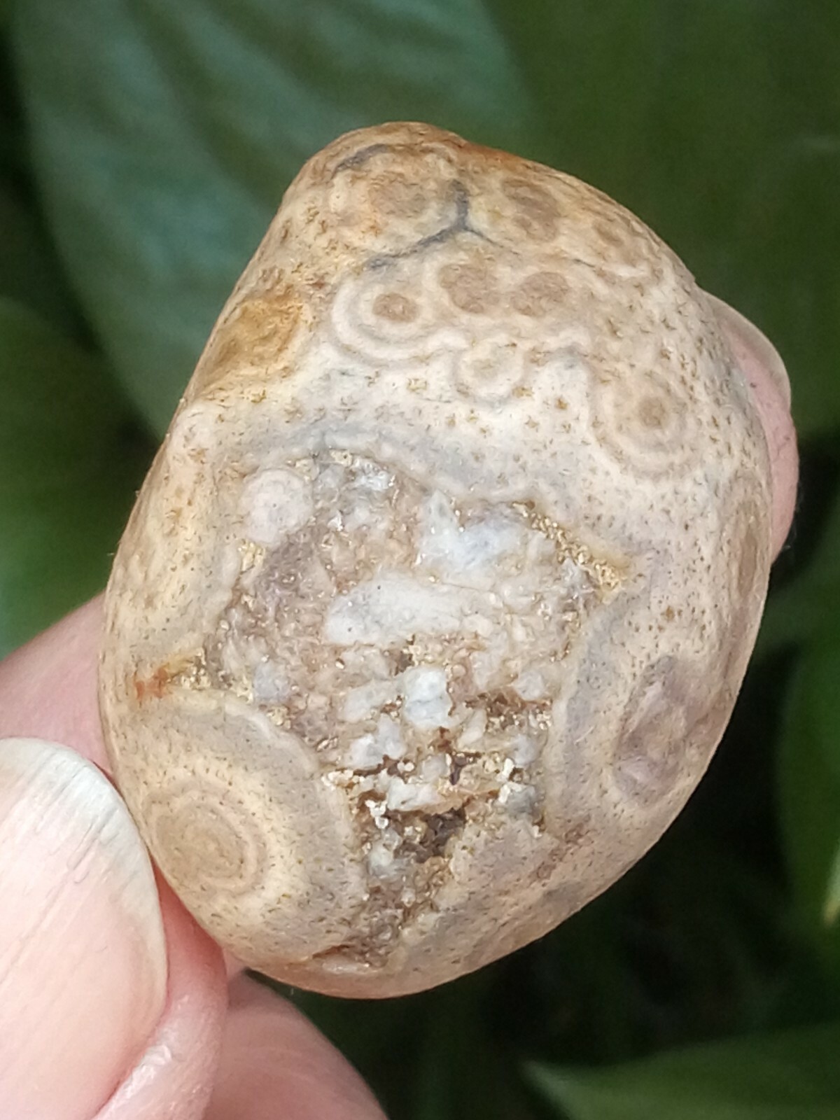 36mm Natural GoBi agate eye agate stone collection china