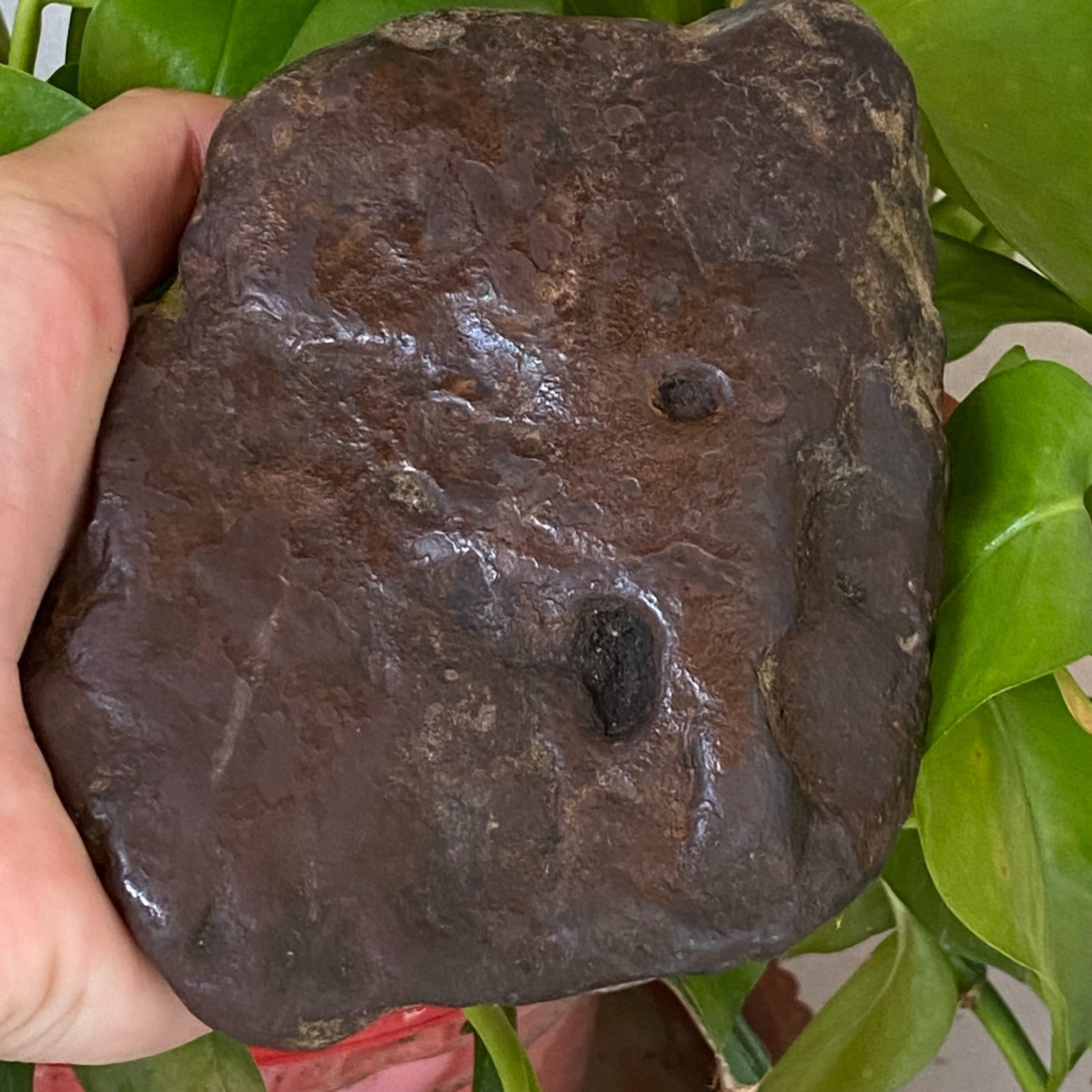 1357g Natural Iron Meteorite Specimen from China W380