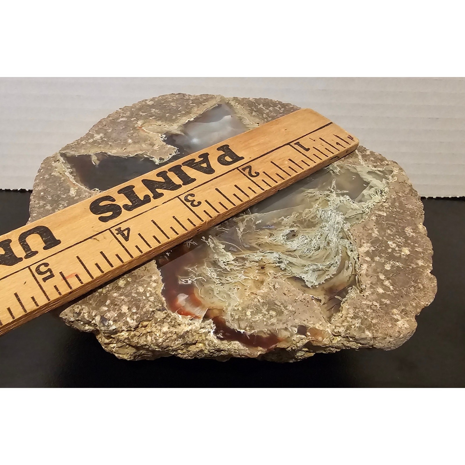Thunder Egg Geode with Brown and White Chalcedony Crystal