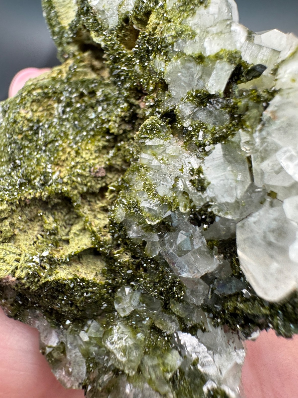 6827 Turkey “Forest” Epidote with Quartz 62g
