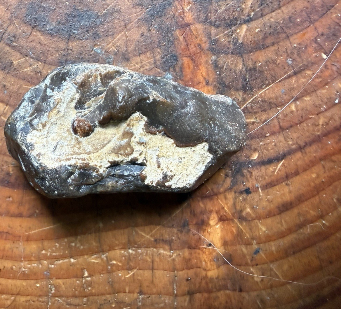 Natural Black & Tan Rock Mineral Specimen Display Piece, Dark Brown Rough Stone