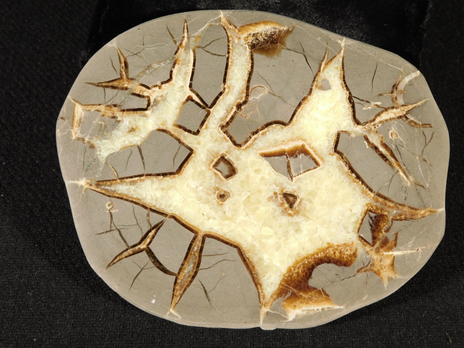 Polished FLUORESCENT SEPTARIAN Nodule Slice 100% Natural w/Stand 244gr