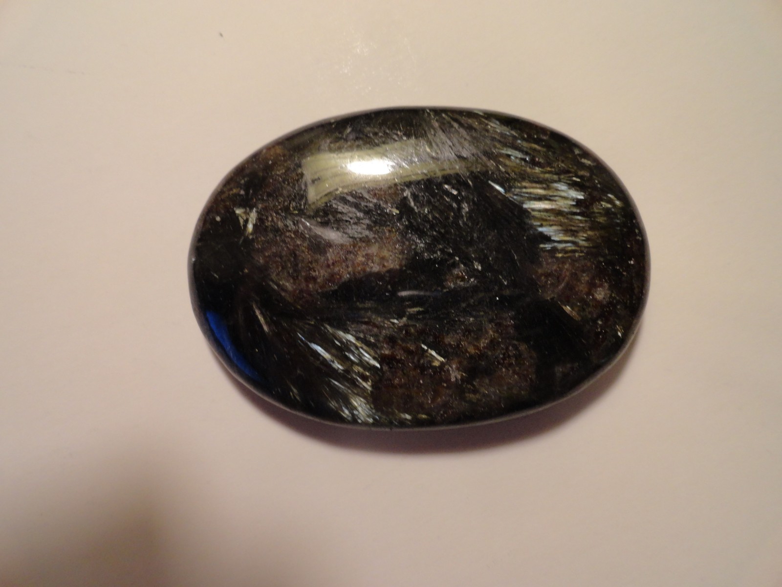 Polished Palm Stone lot