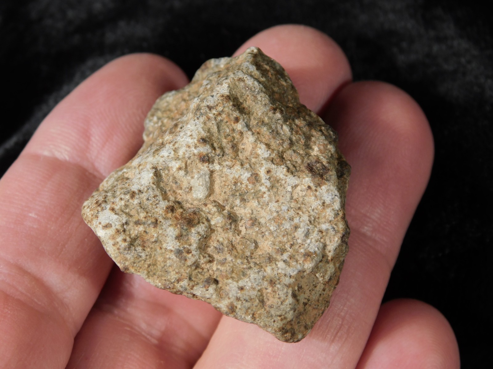 NWA 8245 METEORITE with DARK Fusion Crust & Contraction CRACKS Morocco 36.1gr