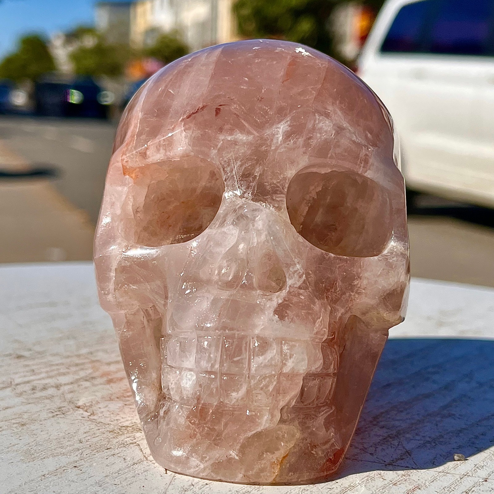 2.71LB Natural dreamy red gum flower skull hand carved skull healing
