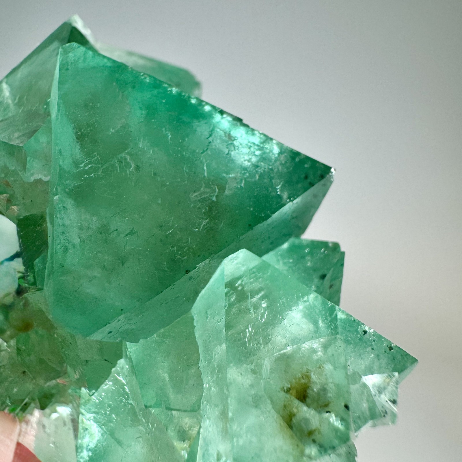 Fine Fluorite Crystals: Riemvasmaak, Northern Cape Province, South Africa