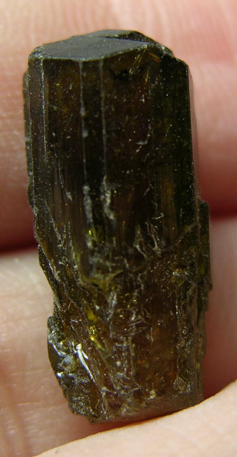 #1 Vietnam 10.50ct Natural Terminated Watermelon Tourmaline Crystal 19mm 2.10g