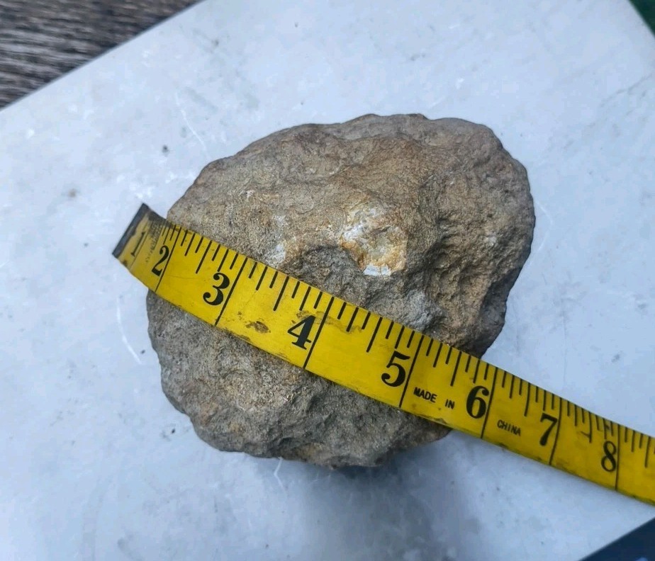 Large Kentucky Geode 3–5 inch – Crack Open Giant Quartz Crystal Rock – Authentic