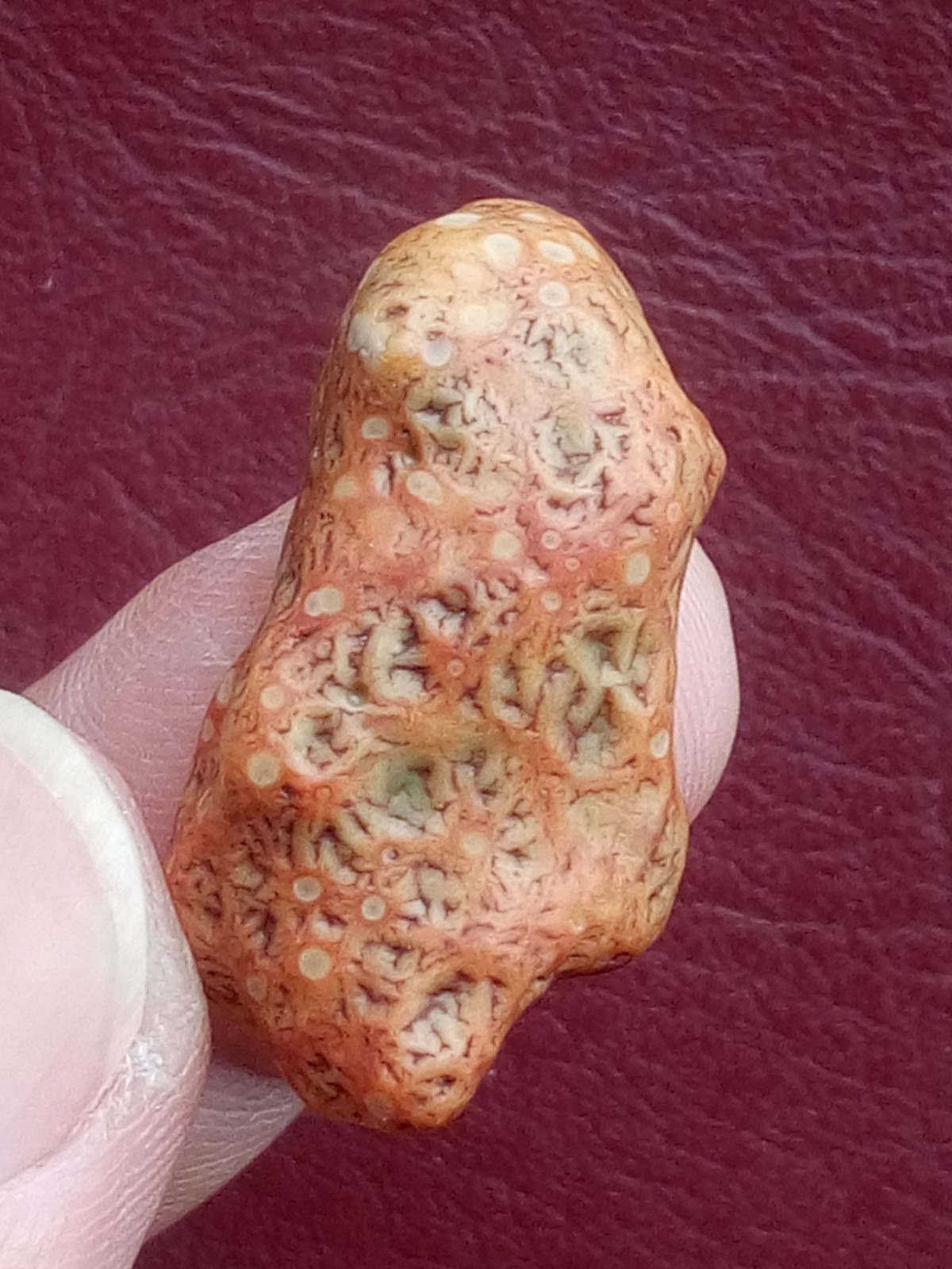 5 pieces Beautiful Natural GoBi agate veins agate Landscape stone