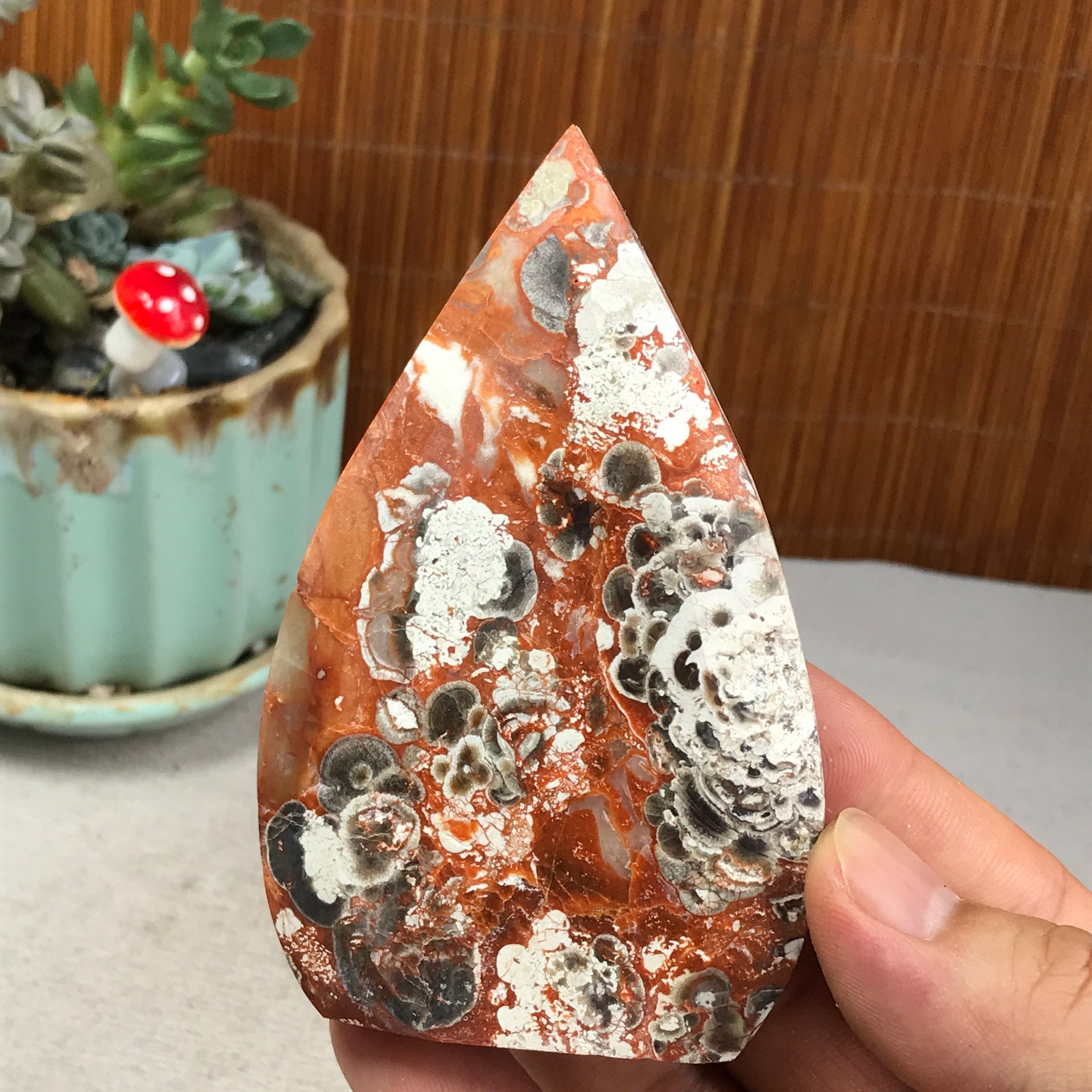 Natural money Mexico agate hand carve leaf Crystal Specimen free standing A6266