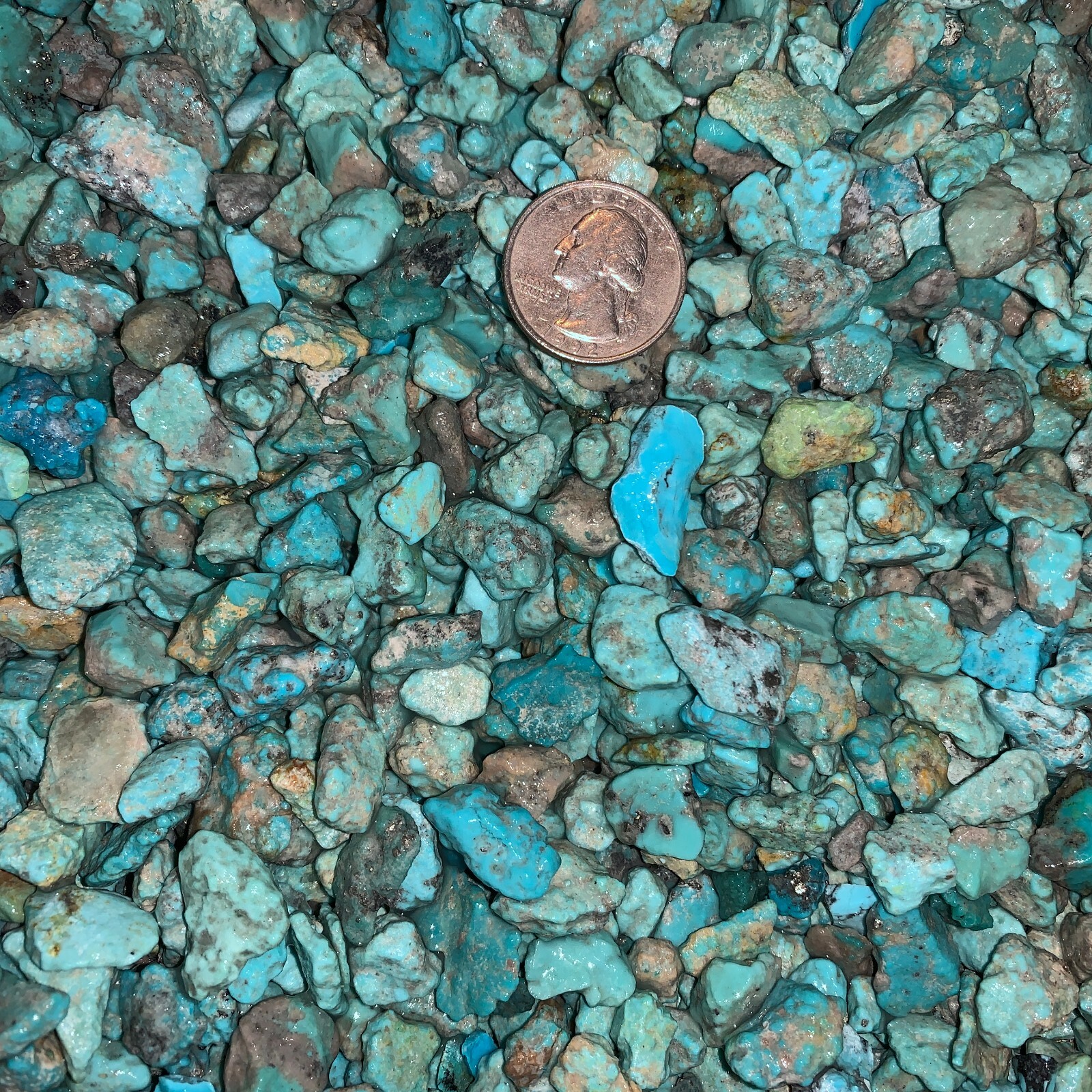 2000 Carat Lots of SMALL Sleeping Beauty Turquoise Nuggets+FREE Faceted Gemstone