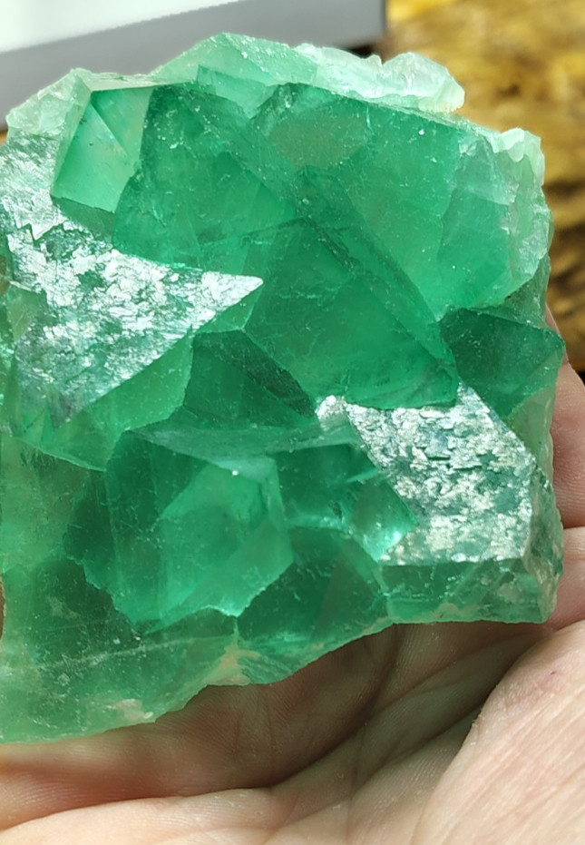 GREEN FLUORITE OCTAHEDRONS CLUSTER TOP CLASS Riemvasmaak South Africa