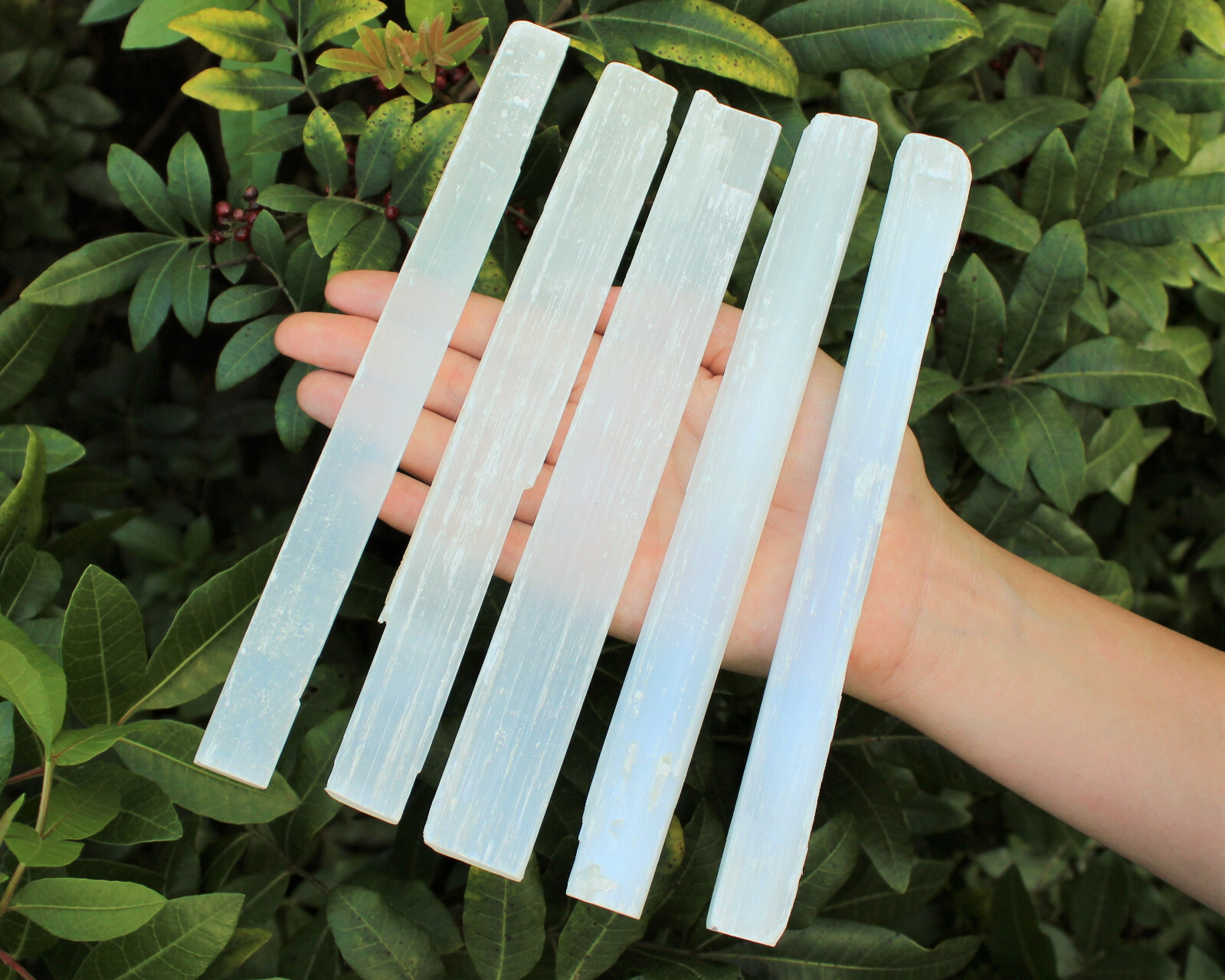 2 lb Bulk Wholesale Lot 7″ – 8″ Selenite Logs Crystal Sticks Wand Blade 2 Pounds