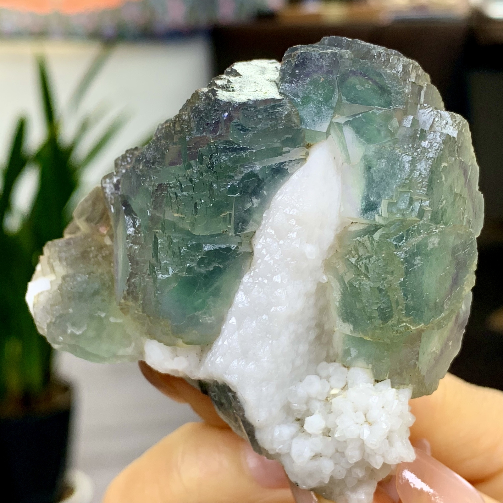 197G Rare transparent blue green cubic fluorite mineral crystal sample